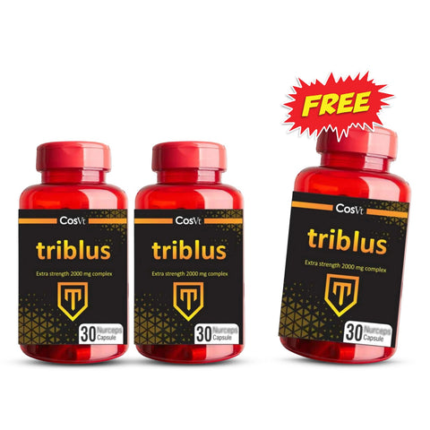 Men's Daily Wellness Support
